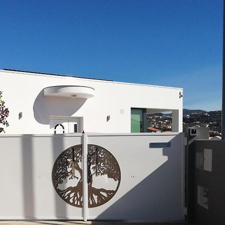 The Tree Of Life House Hotell Ponta do Sol  Eksteriør bilde
